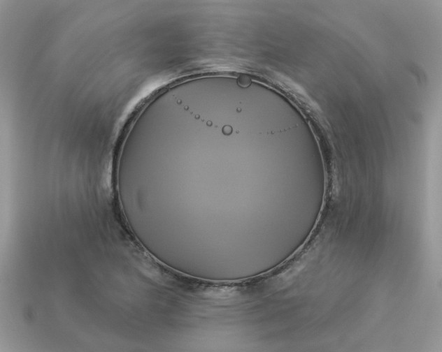 X0000113051174200909101933