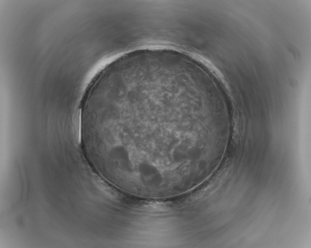 X0000113051175200909101933