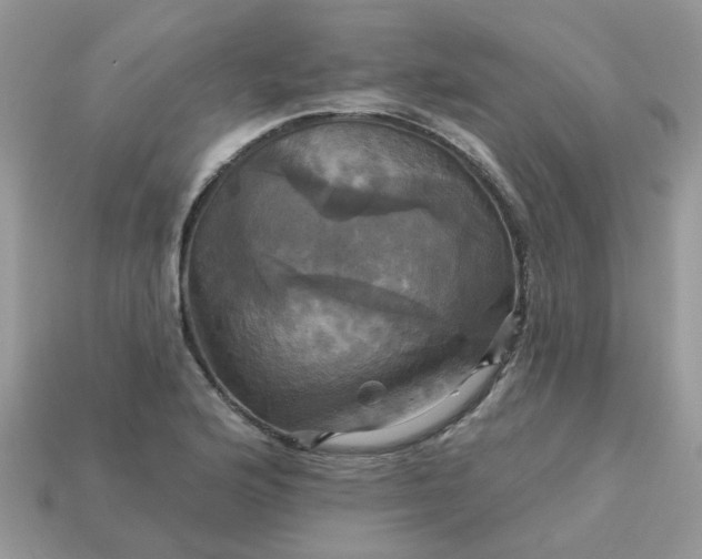 X0000113051176200909101933