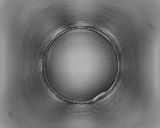 X0000113051177200909101933