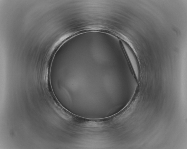 X0000113051179200909101933