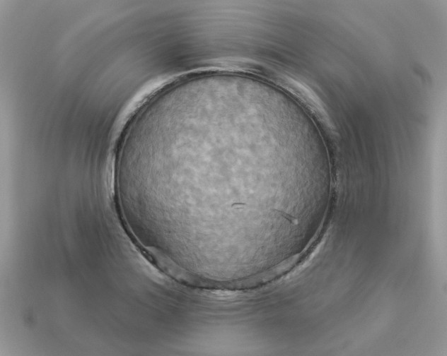 X0000113051180200909101933