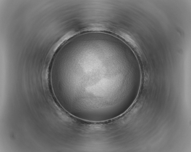 X0000113051181200909101933