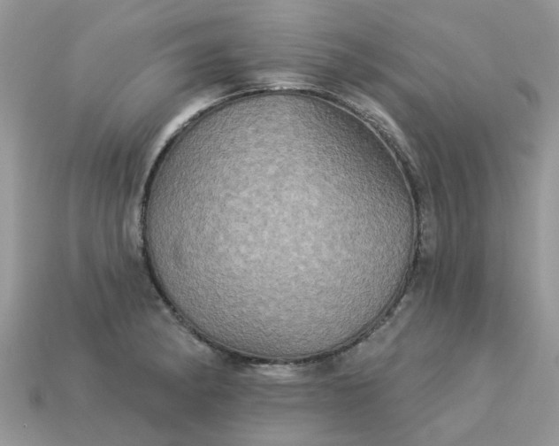 X0000113051182200909101933