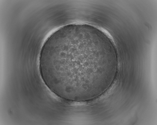 X0000113051183200909101933