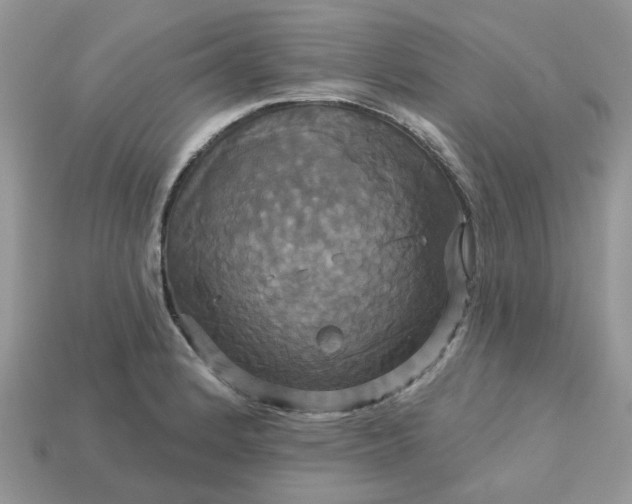 X0000113051184200909101933