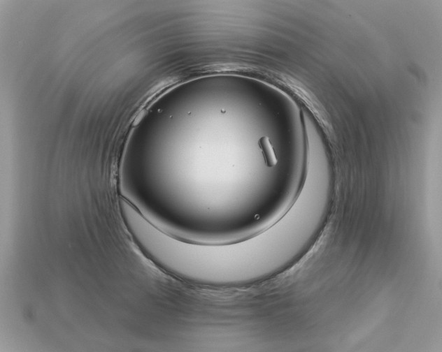 X0000113051185200909101933