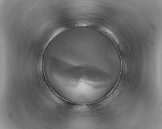 X0000113051186200909101933