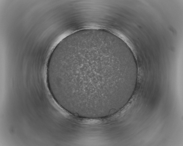 X0000113051187200909101933