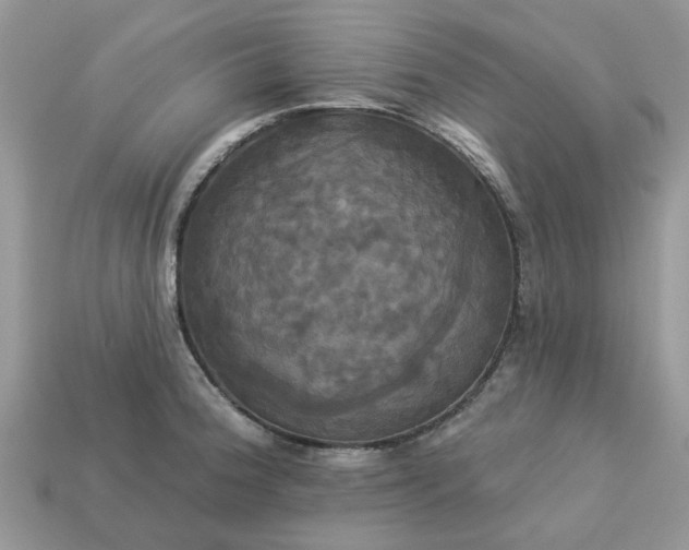 X0000113051188200909101933