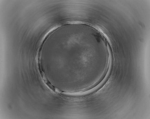 X0000113051189200909101933