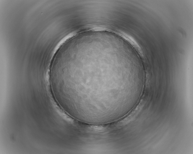 X0000113051190200909101933