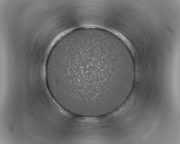 X0000113051191200909101933