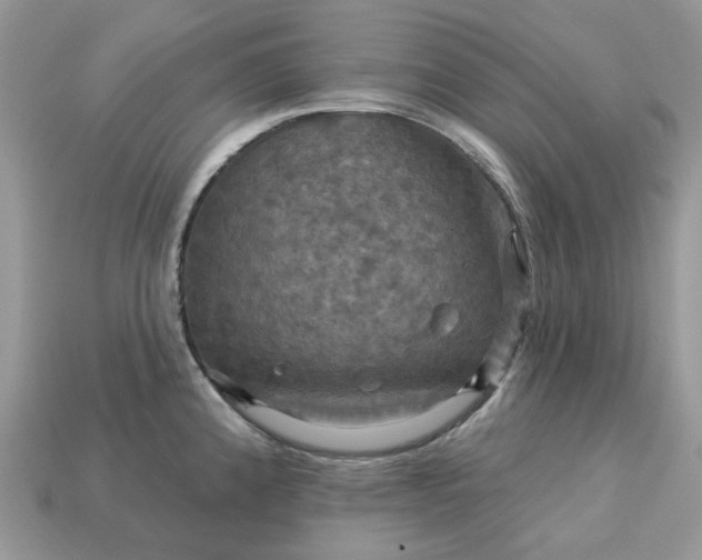 X0000113051192200909101933