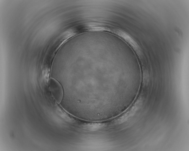 X0000113051193200909101933