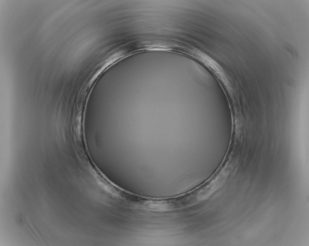 X0000113051194200909101933