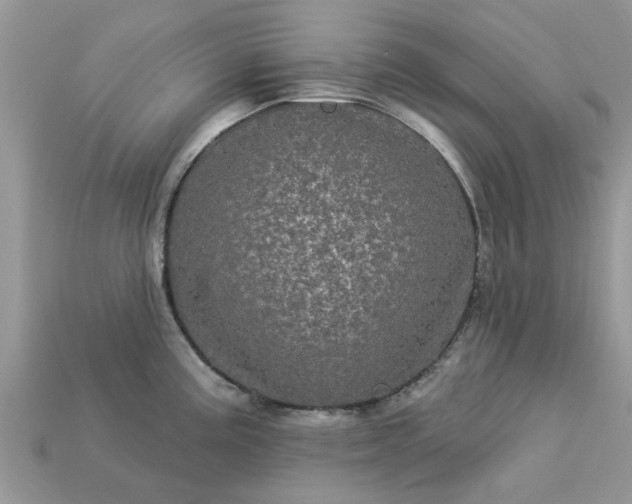 X0000113051195200909101932