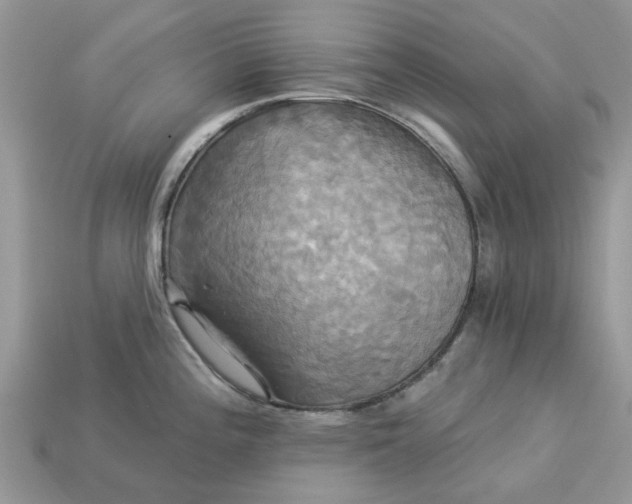 X0000113051196200909101932