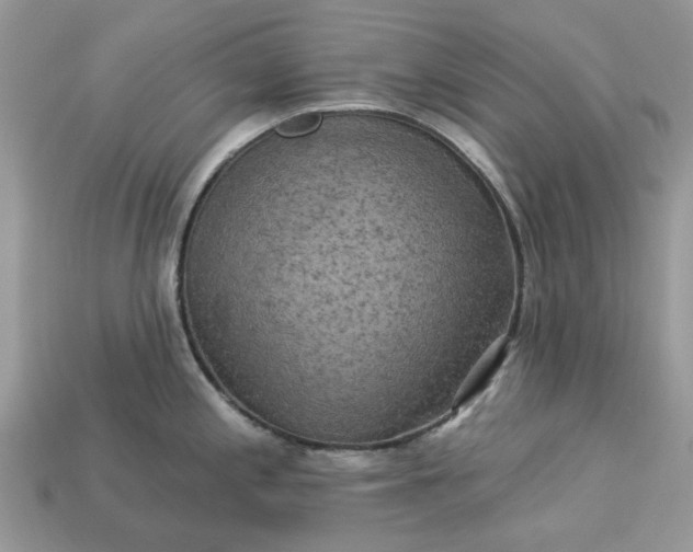 X0000113051197200909101932