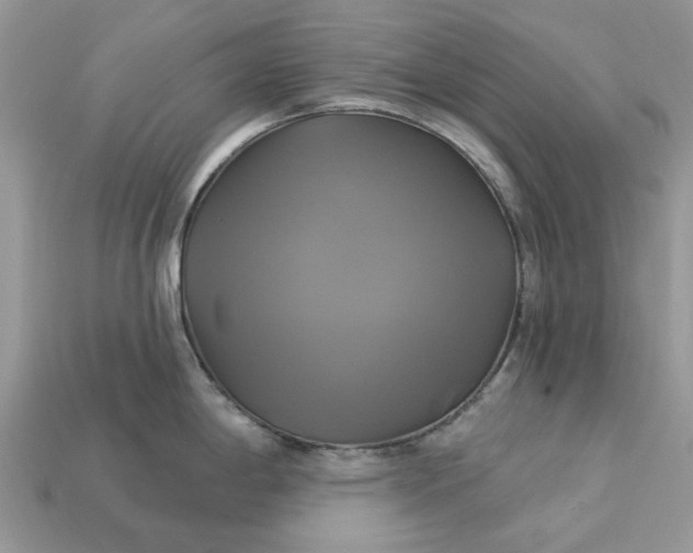 X0000113051198200909101932