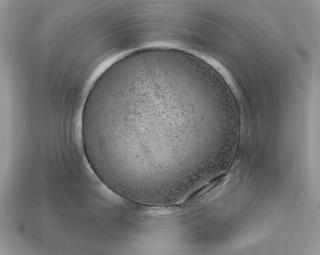 X0000113051199200909101932