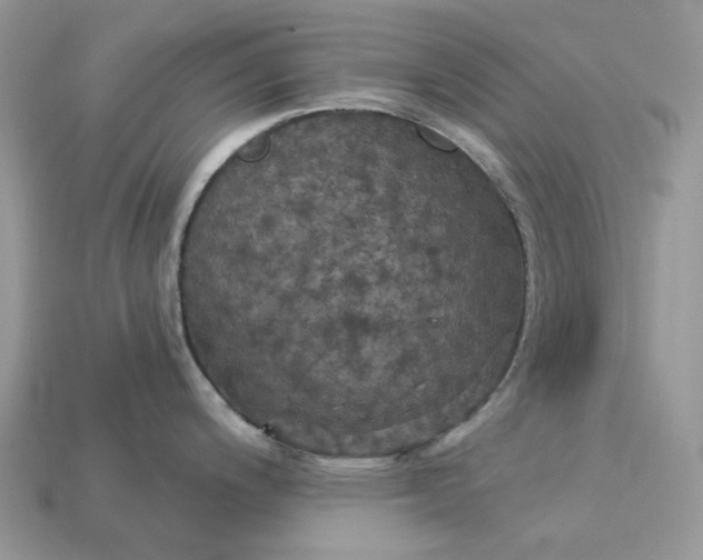 X0000113051200200909101932