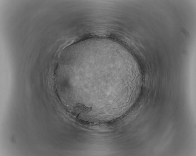 X0000113051201200909101932