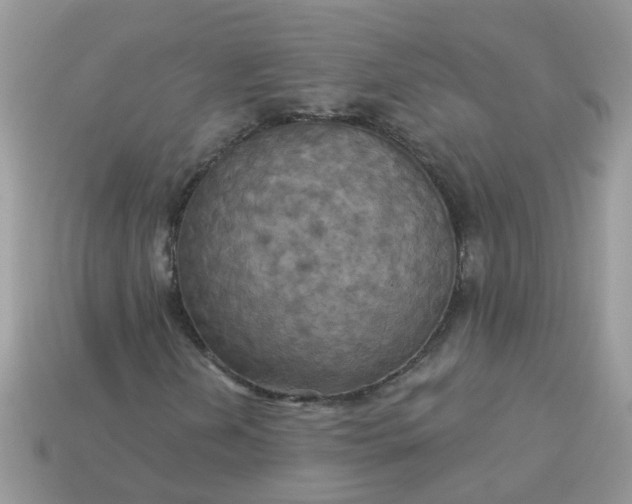 X0000113051202200909101932