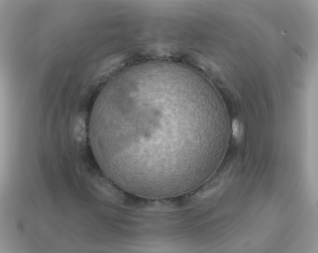 X0000113051203200909101932