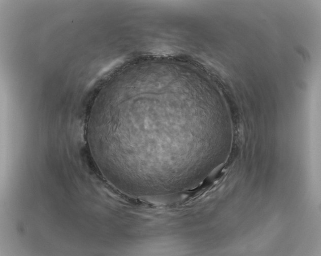 X0000113051205200909101932