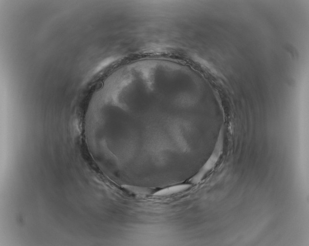 X0000113051206200909101932