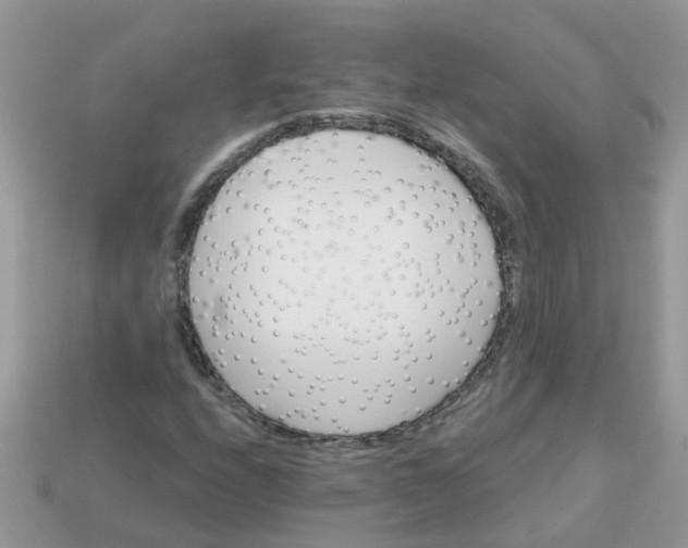 X0000113051208200909101932