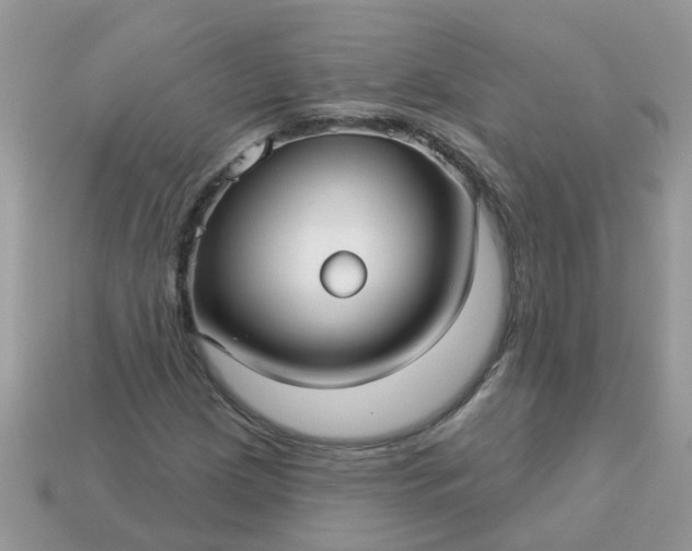 X0000113051209200909101932