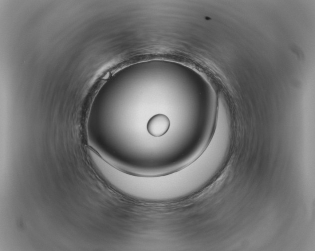 X0000113051210200909101932