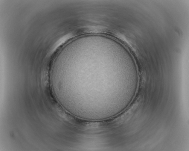 X0000113051211200909101932