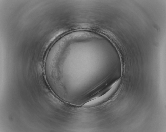 X0000113051212200909101932