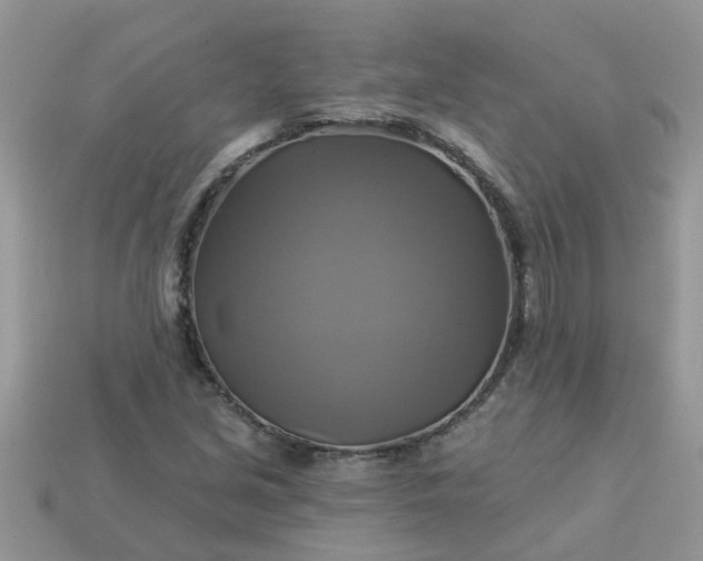 X0000113051213200909101932