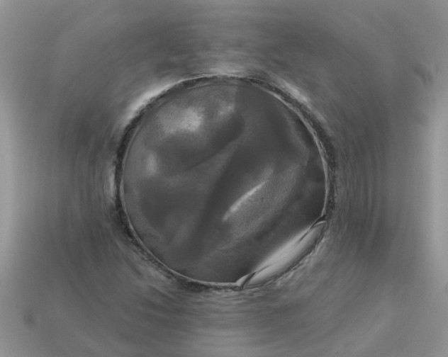 X0000113051214200909101932