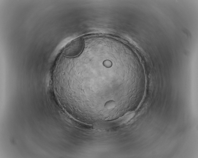 X0000113051215200909101932