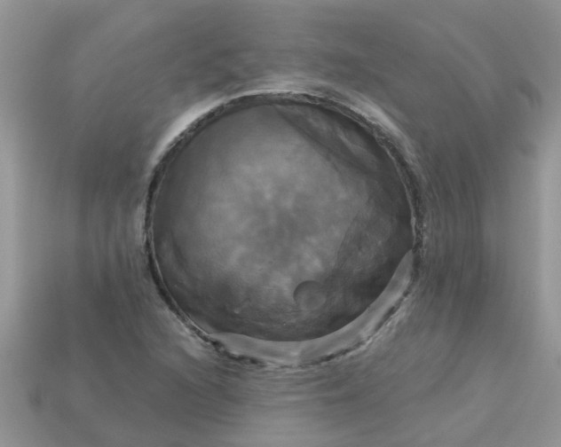 X0000113051216200909101932