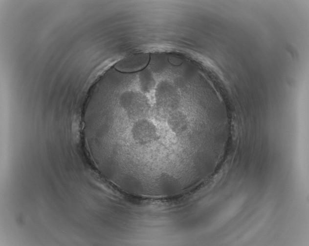 X0000113051217200909101932