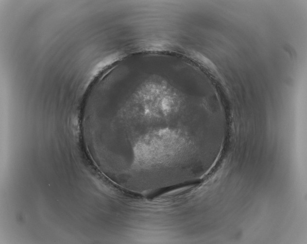 X0000113051218200909101932