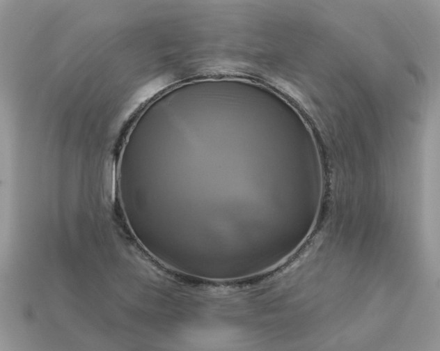 X0000113051219200909101932