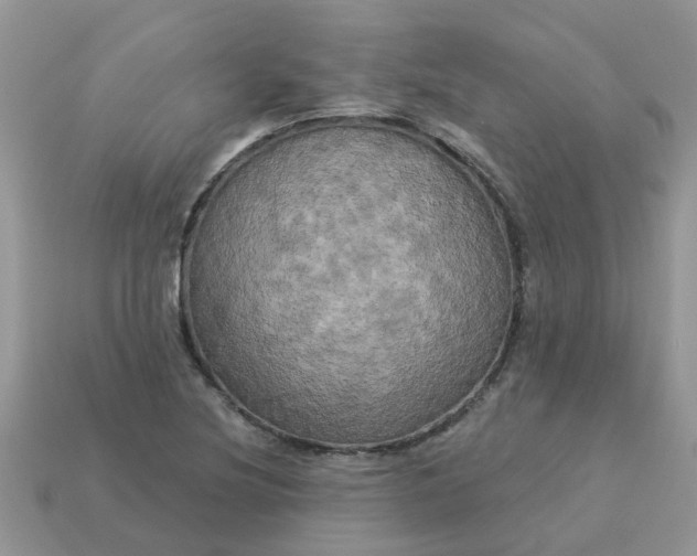 X0000113051220200909101932