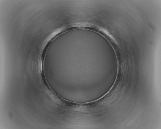 X0000113051221200909101932