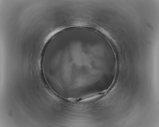 X0000113051222200909101932