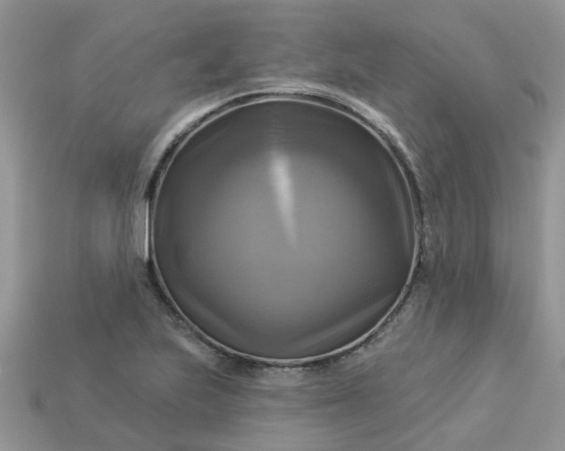 X0000113051223200909101932