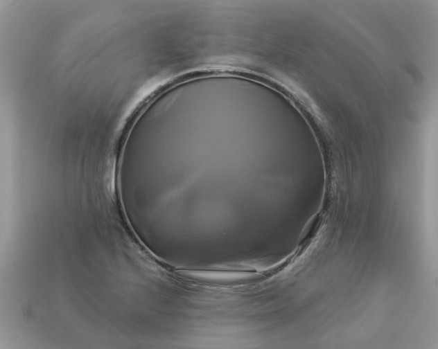 X0000113051224200909101932