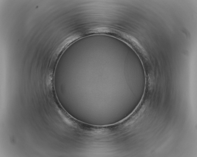 X0000113051225200909101932