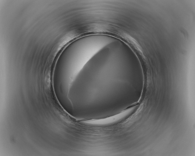 X0000113051226200909101932